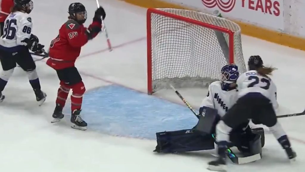 Oettinger’s Stray Stick Prevents McDavid from Scoring Wide-Open Goal