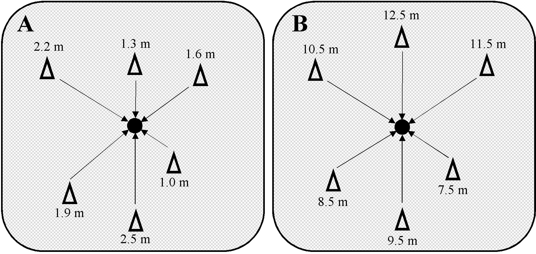 The Importance of Good Draw and Golf Skills at the Open Championship