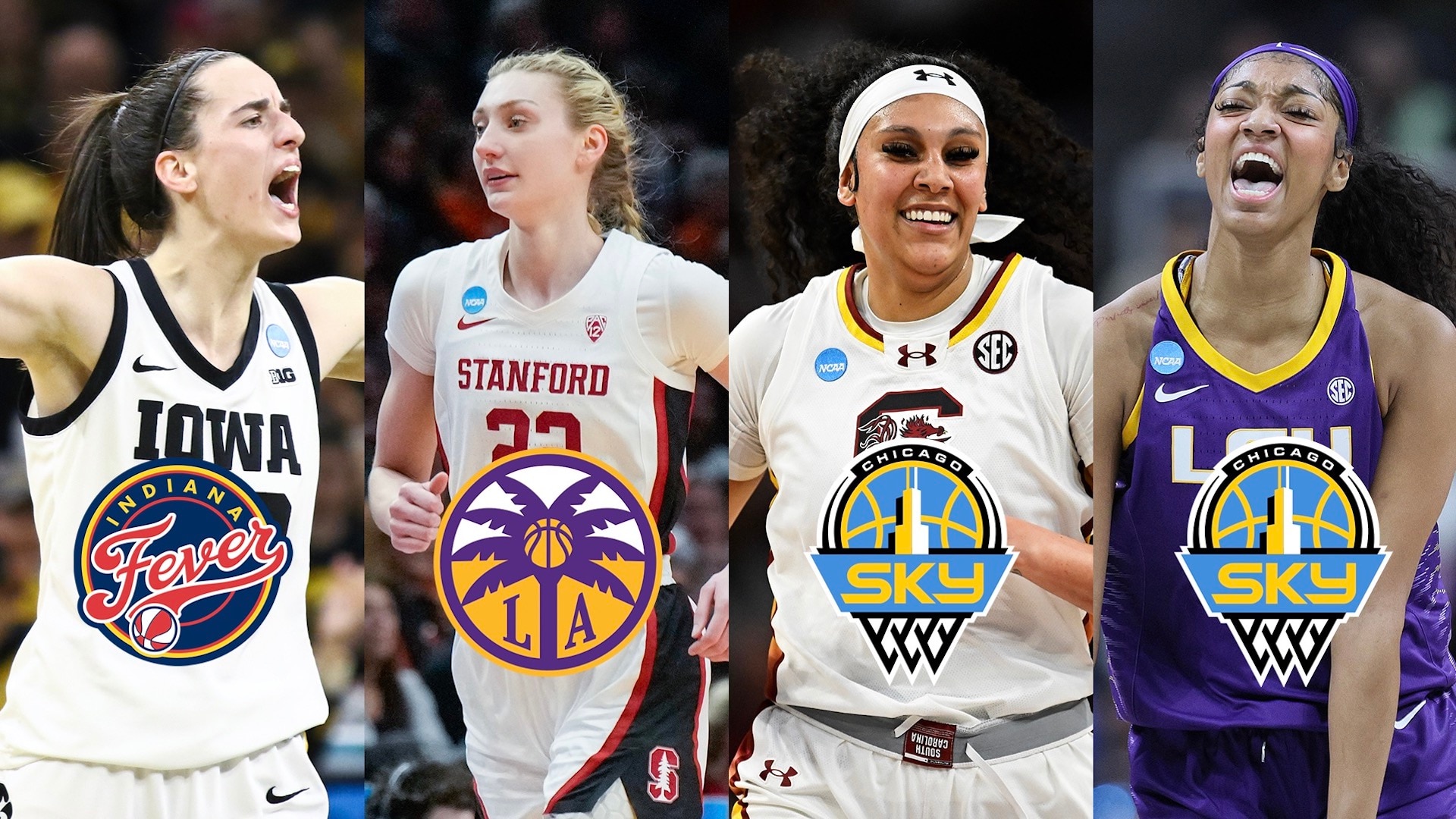 The Latest Updates in the WNBA