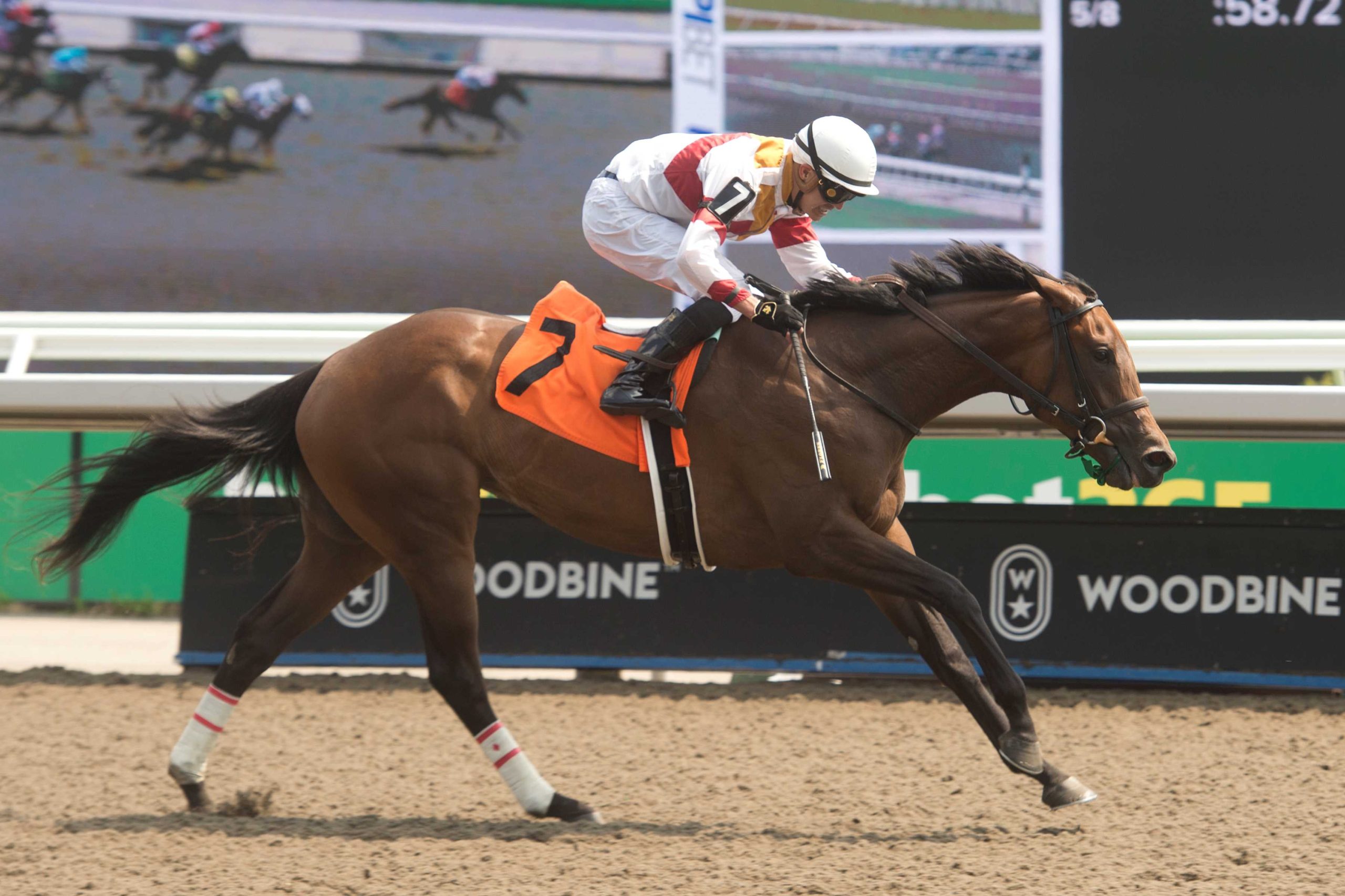 Caitlinhergrtness Jockey and Trainer Celebrate Victory in King’s Plate Race